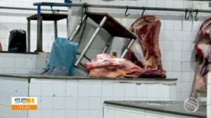 Vídeo mostra rato em cima de carne no Mercado Municipal; Assista!