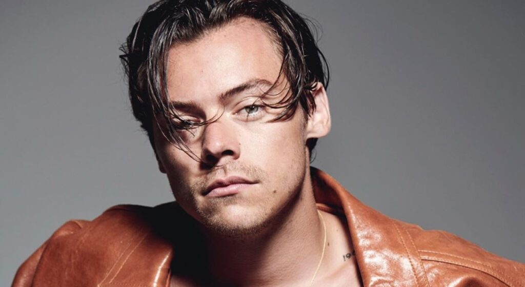 Harry Styles cancela show em SP. Saiba o motivo e como ter o reembolso