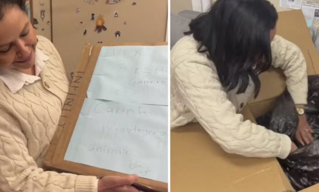 Vereadora recebe ‘presente’ e encontra cachorro morto dentro da caixa;Veja Vídeo