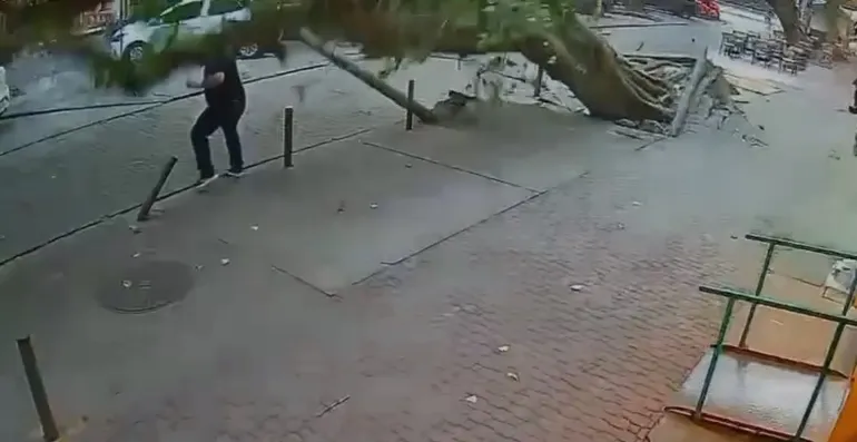 Vídeo mostra homem escapando por pouco de queda de árvore durante vendaval; Assista!