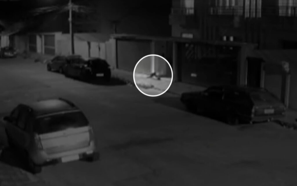 Câmera flagra cachorro ‘furtando’ celular de adolescente; VEJA VÍDEO!