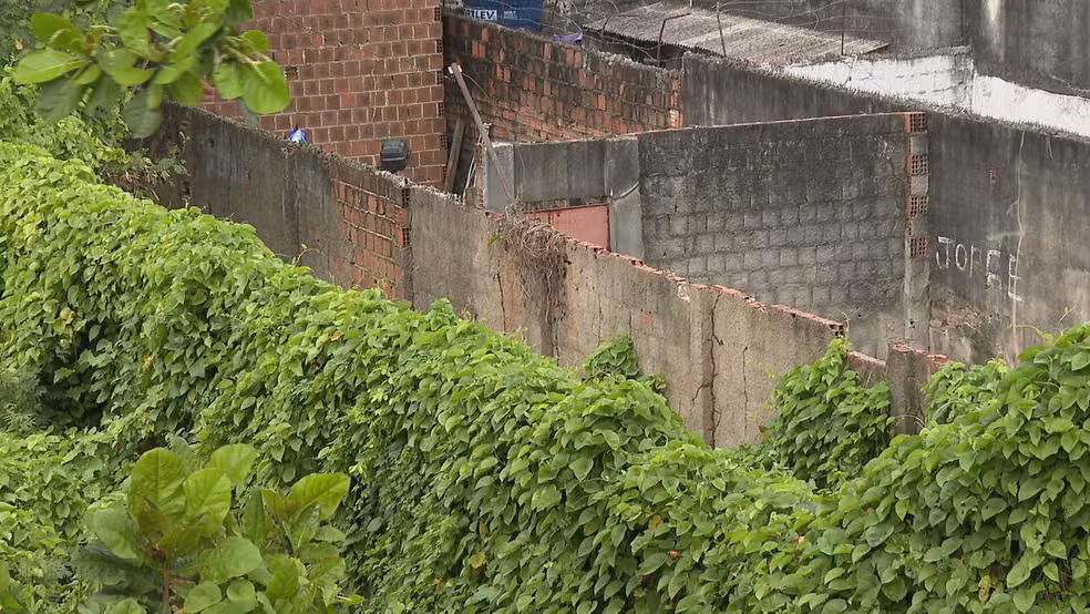 ‘Infestação’ de cobras assusta moradores de comunidade do Recife; VEJA VÍDEO!