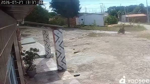 Mulher entra em pânico ao ser perseguida por animal; VEJA VÍDEO