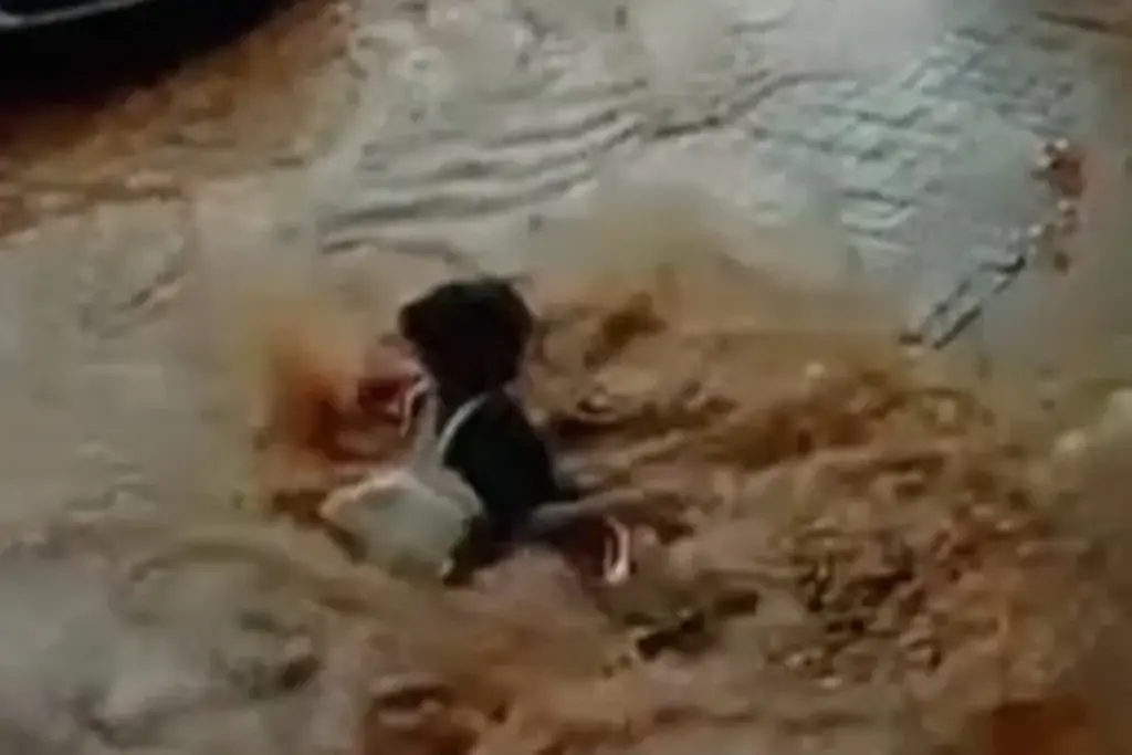 VÍDEO: Jovem cai em buraco escondido por água durante alagamento