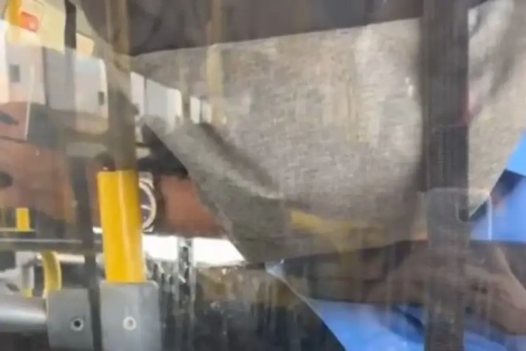 Garota grava cobrador de ônibus se tocando enquanto olhava para ela; veja