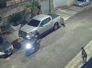 Cães atacam ladrões e impedem assalto na zona norte do Rio de Janeiro; VEJA VÍDEO!
