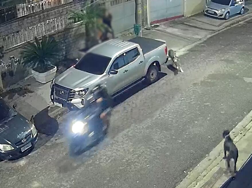 Cães atacam ladrões e impedem assalto na zona norte do Rio de Janeiro; VEJA VÍDEO!