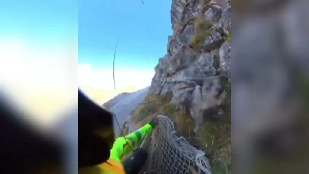 Cachorro é resgatado de helicóptero após ficar preso em montanha; veja vídeo!