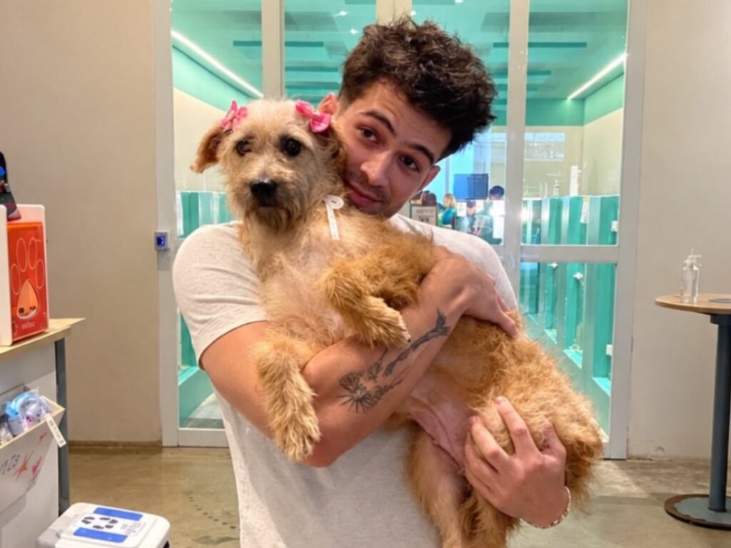 João Guilherme adota cachorrinha e escolhe nome que chama atenção
