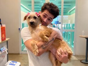 João Guilherme adota cachorrinha e escolhe nome que chama atenção