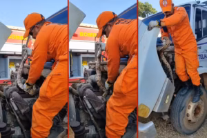 Jiboia de 1,5 metro é encontrada escondida no motor de caminhão em MT; VEJA VÍDEO!