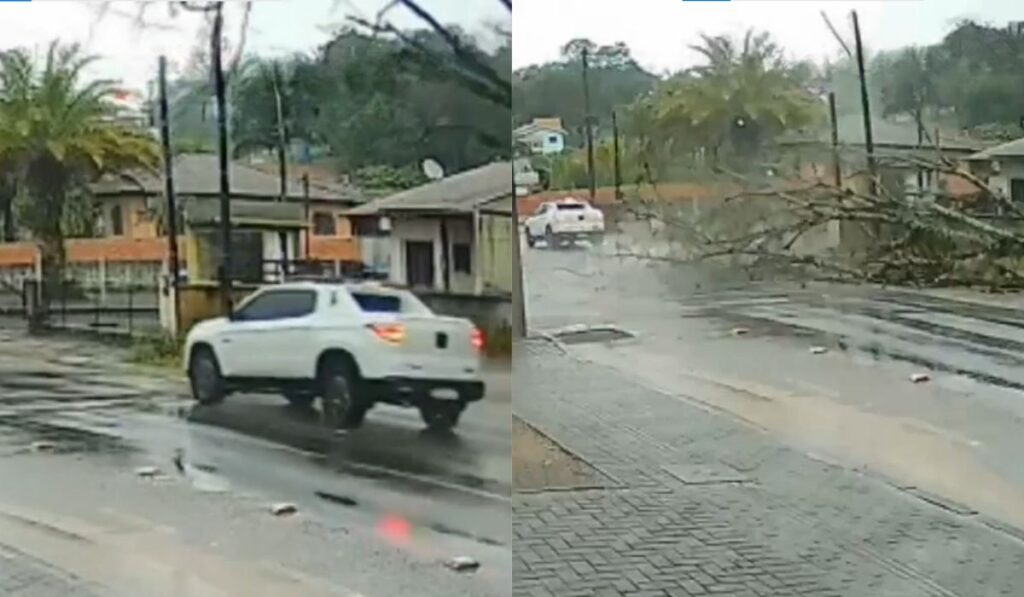 Árvore cai e carro escapa por poucos segundos durante fortes chuvas em SC; VEJA VÍDEO!