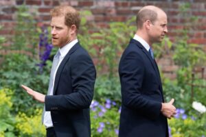 Príncipe William não quer reconciliação com Harry, afirma jornalista