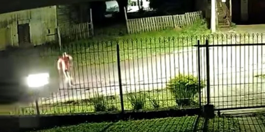 Homem morre atropelado enquanto celebrava vitória nas eleições; veja vídeo