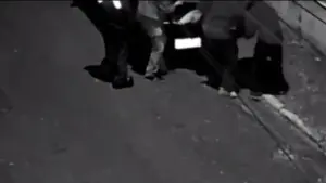 Vídeo flagra homens jogando corpo atrás de muro em SP; ASSISTA!