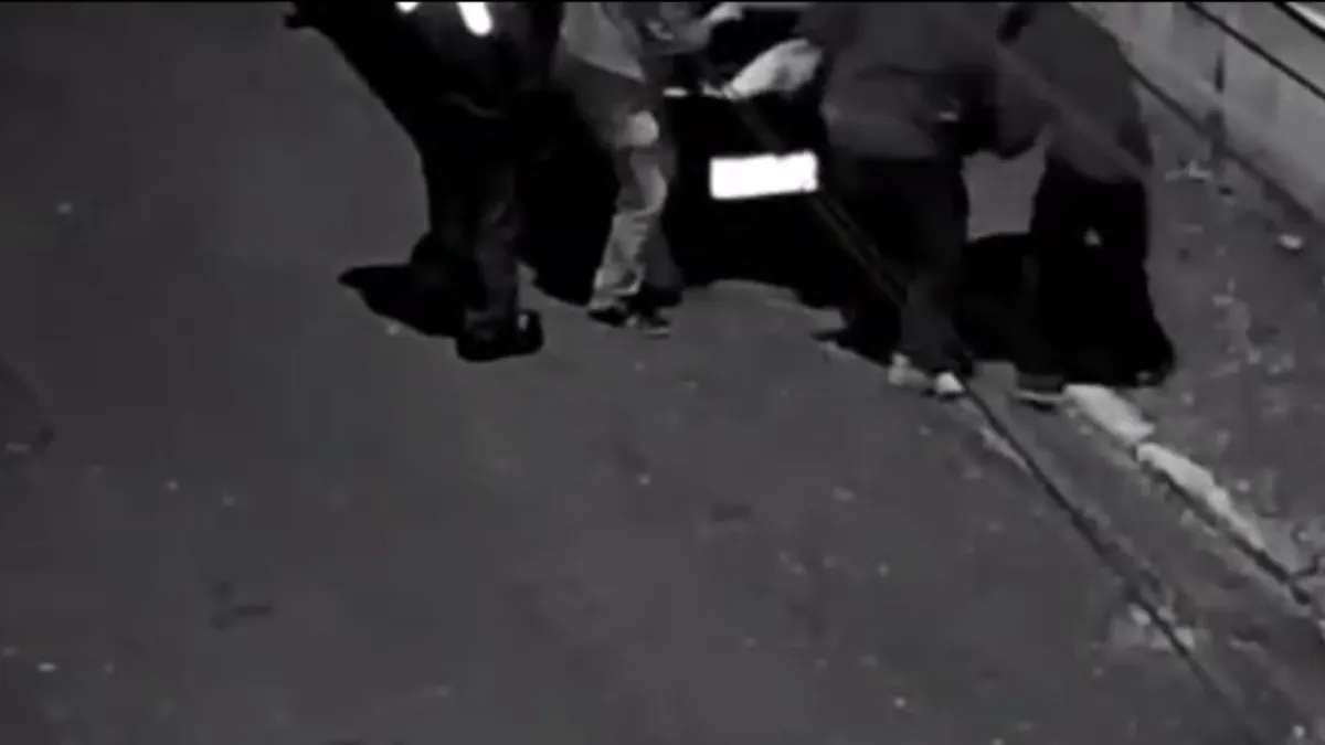 Vídeo flagra homens jogando corpo atrás de muro em SP; ASSISTA!