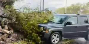 Repórter e cinegrafista são atropelados por caminhonete durante transmissão ao vivo; VEJA VÍDEO!