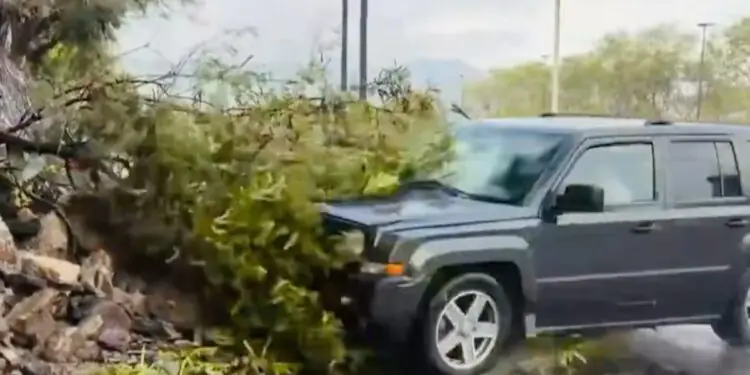 Repórter e cinegrafista são atropelados por caminhonete durante transmissão ao vivo; VEJA VÍDEO!