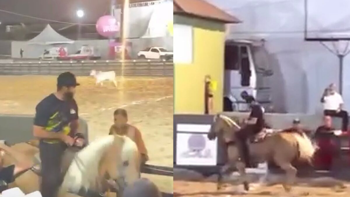 Henrique, dupla de Juliano, sofre queda de cavalo durante vaquejada em Pernambuco