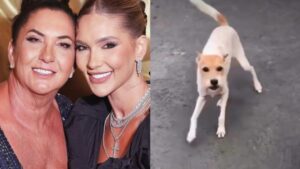 Mãe de Virginia Fonseca lamenta morte de cachorrinha após luta contra câncer