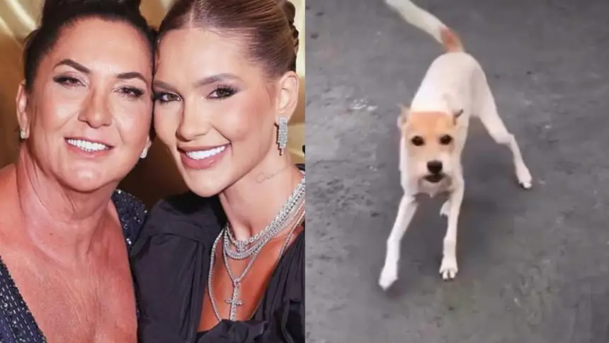 Mãe de Virginia Fonseca lamenta morte de cachorrinha após luta contra câncer