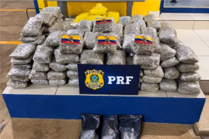 Perseguição termina com mulher presa e mais de 130 kg de drogas apreendidos; VEJA VÍDEO!