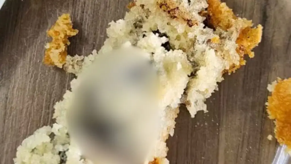 Cliente que encontrou rato morto em bolo comeu parte do alimento; veja fotos