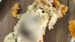 Cliente que encontrou rato morto em bolo comeu parte do alimento; veja fotos
