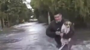Jornalista interrompe reportagem e entra em enchente para salvar cachorro na Argentina