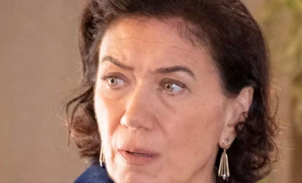 Lilia Cabral Golpe (4)
