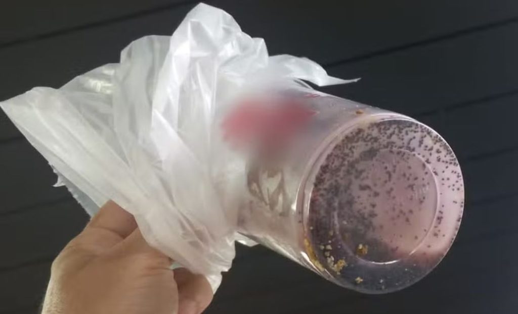Video Veneno Milkshake (2)