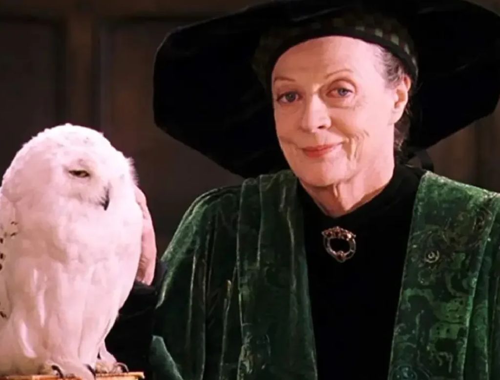 Maggie Smith (foto Reprodução Redes Sociais) (3)