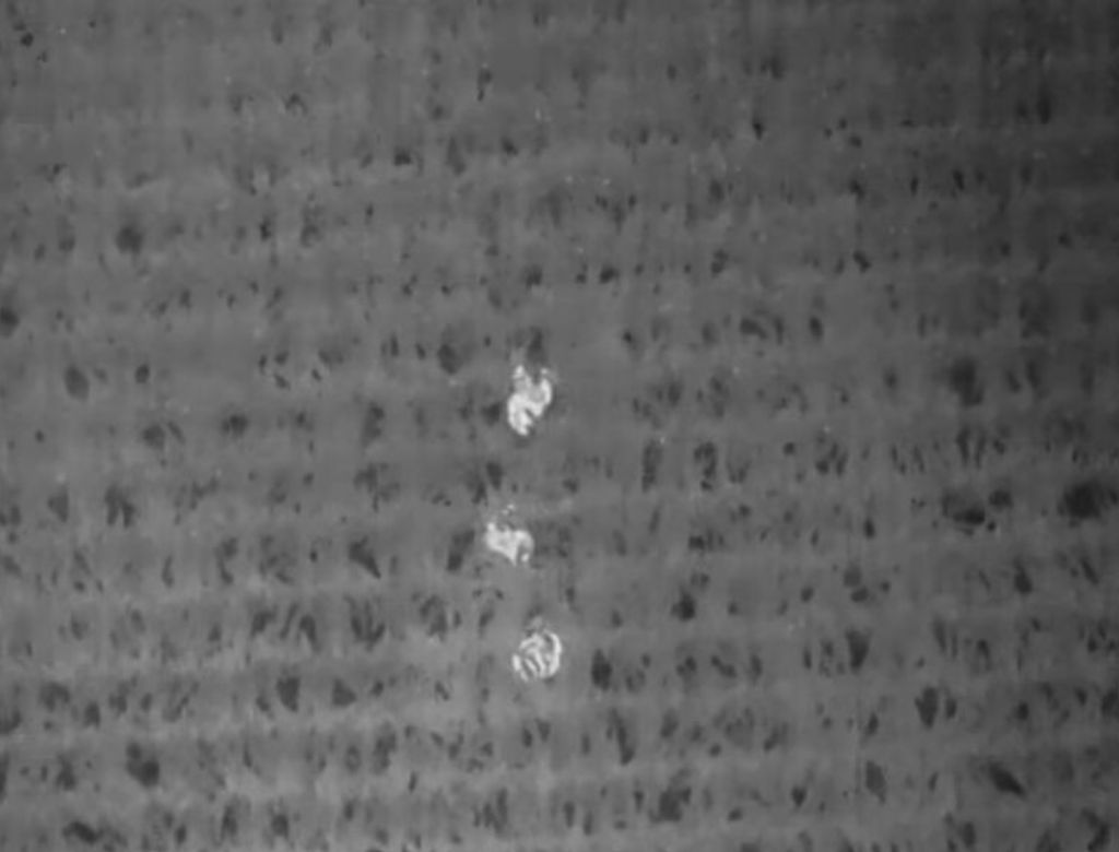 Drone (4)