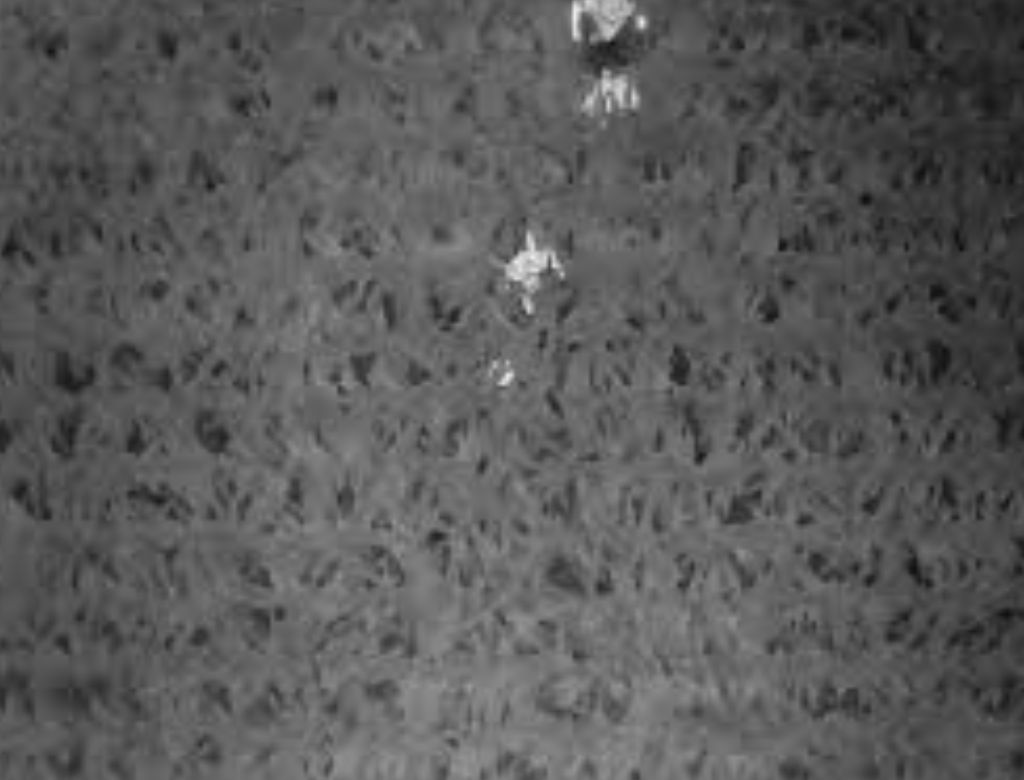 Drone (5)