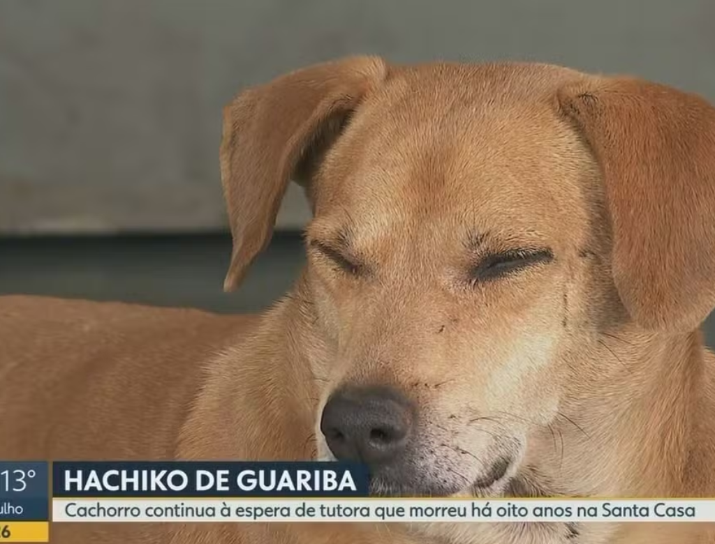 (Foto Reprodução TV Globo)