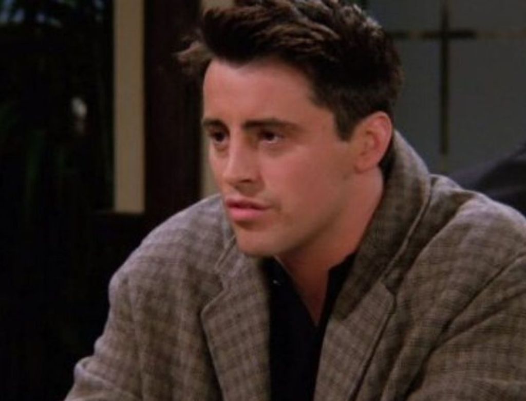 Joey Friends Reproduca Widelg(1)