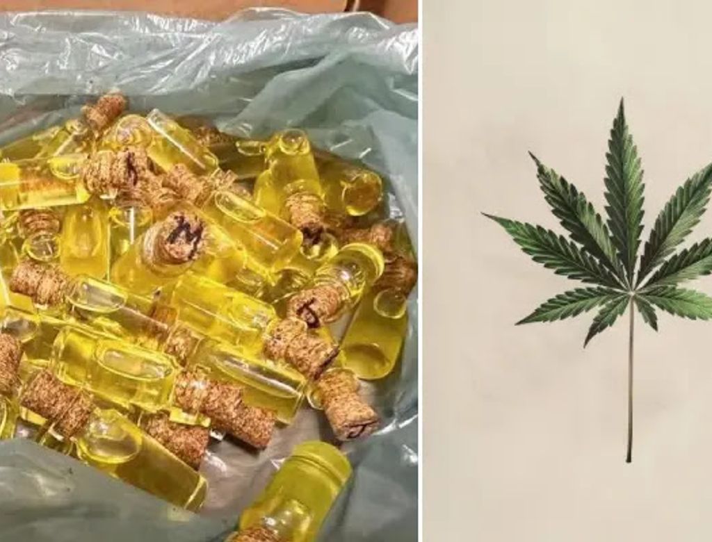 Xapa Xana Grupo Criminoso Preso Df Venda Lubrificante Vaginal Cannabis(1)