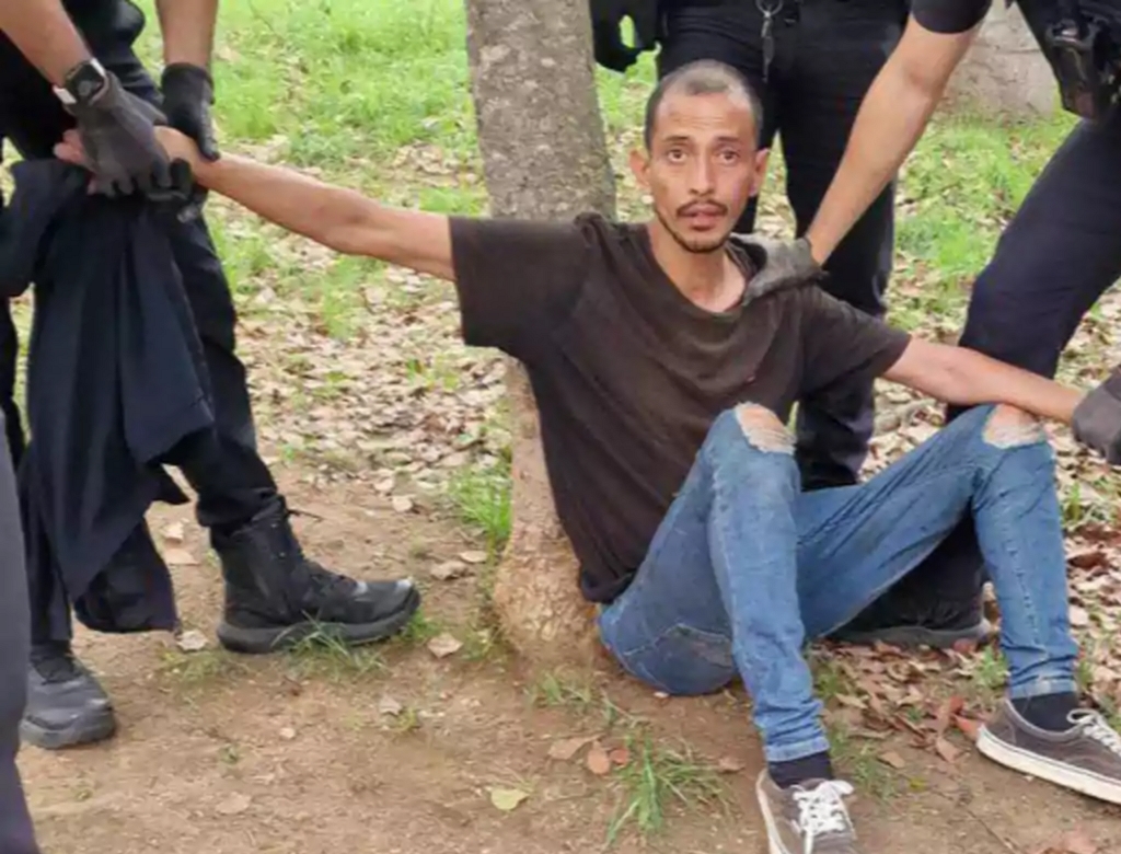 Bebê Leva Soco (foto Reprodução Redes Sociais) 2