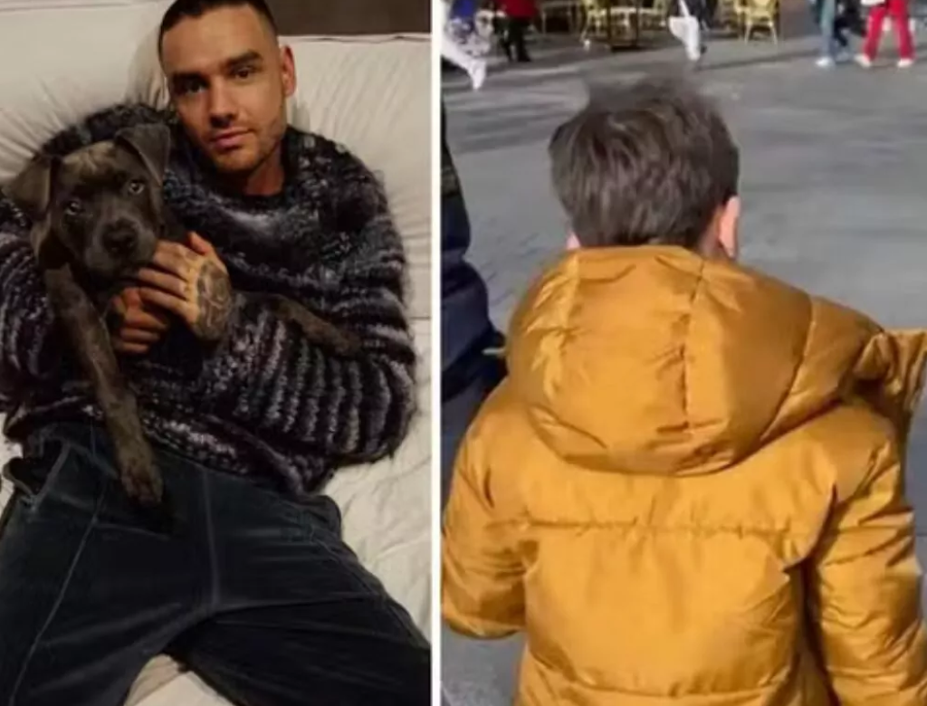 Liam Payne (foto Reprodução Redes Sociais)