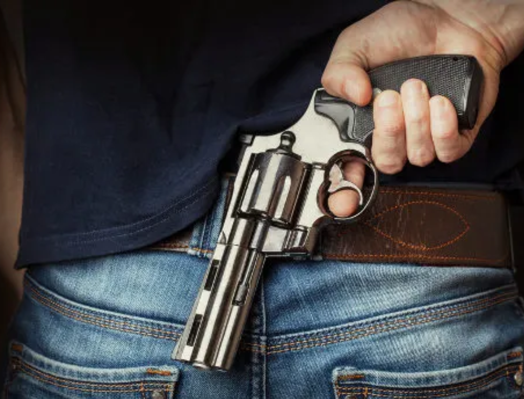 Arma De Fogo (foto Reprodução Redes Sociais)