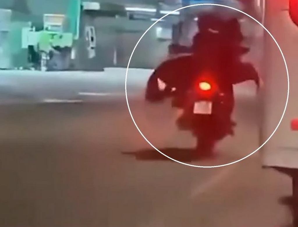 Cavalo Na Moto (foto Reprodução Redes Sociais)