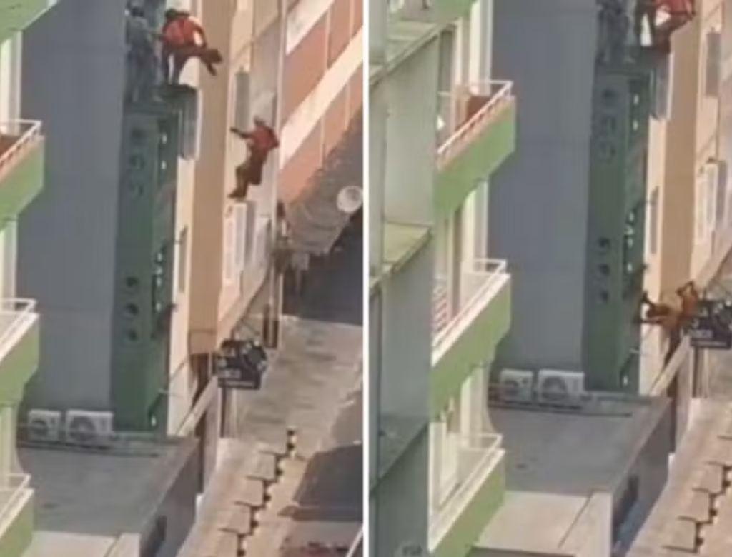 (Foto Reprodução Redes Sociais)