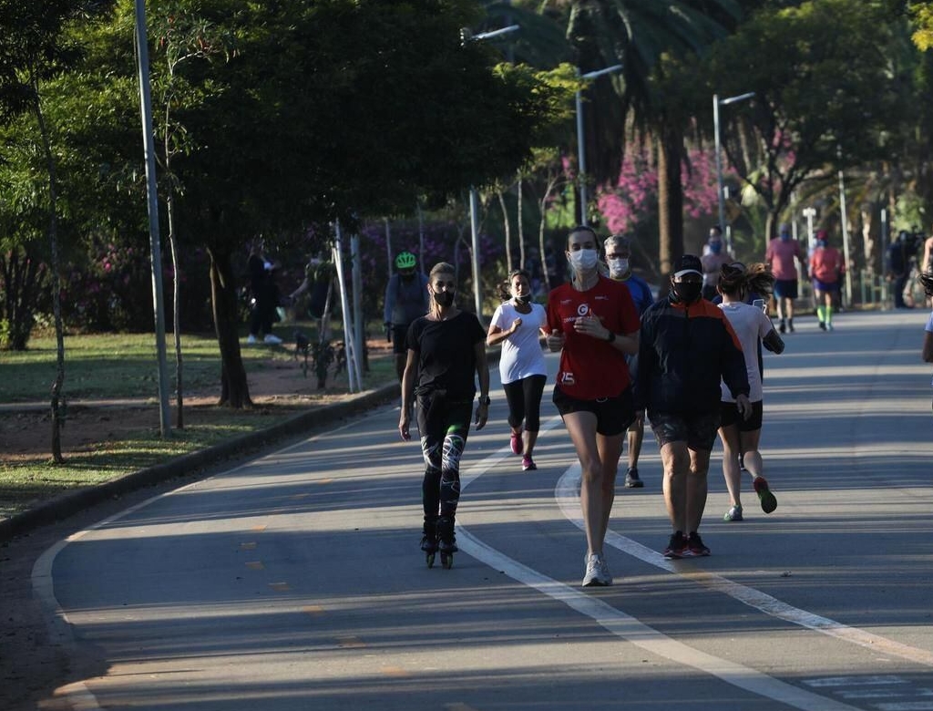 Parque Ibirapuera (foto Reprodução Redes Sociais) 2