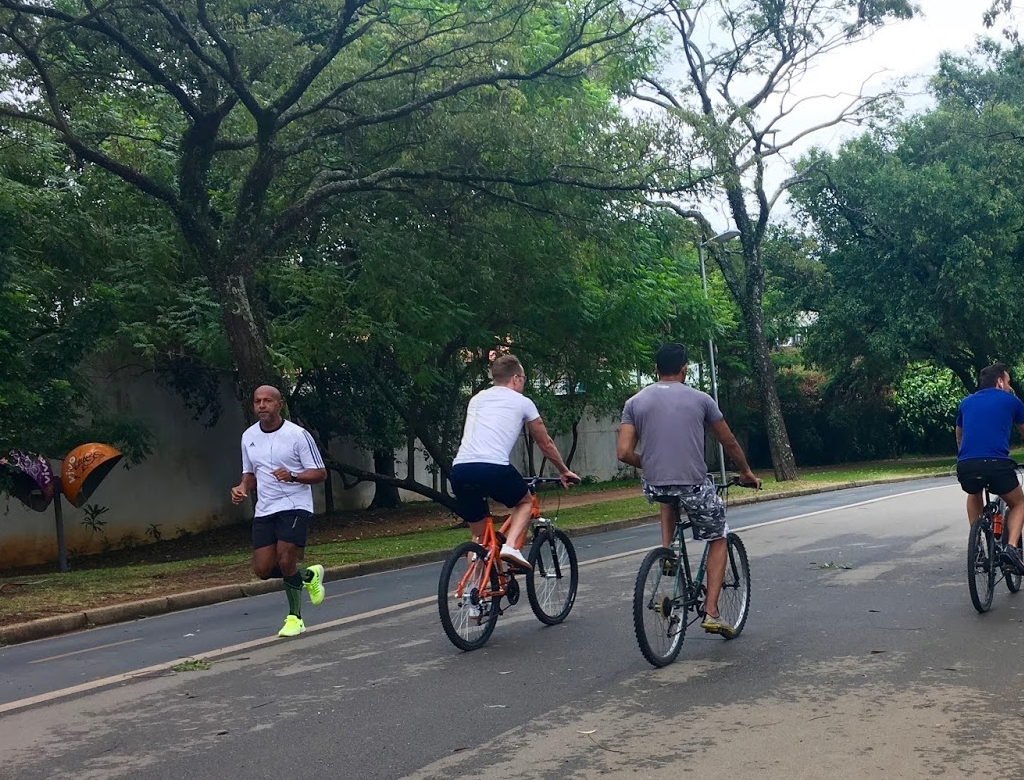 Parque Ibirapuera (foto Reprodução Redes Sociais) 3