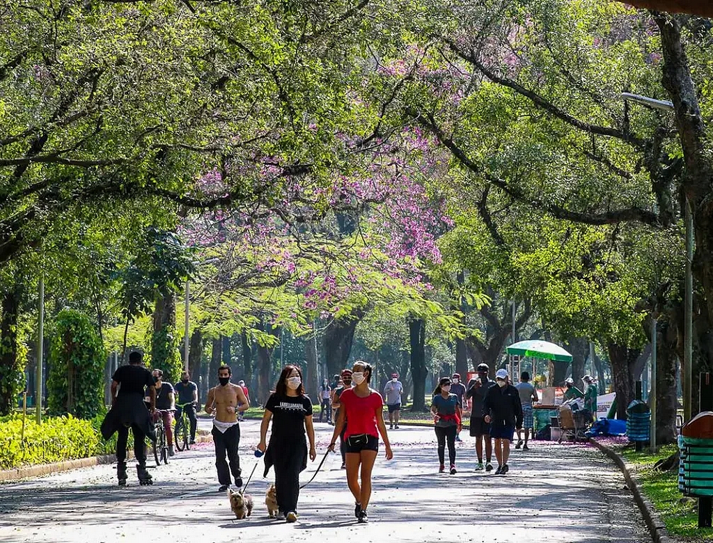 Parque Ibirapuera (foto Reprodução Redes Sociais) 4
