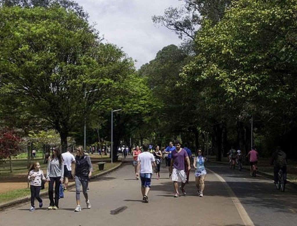 Parque Ibirapuera (foto Reprodução Redes Sociais)