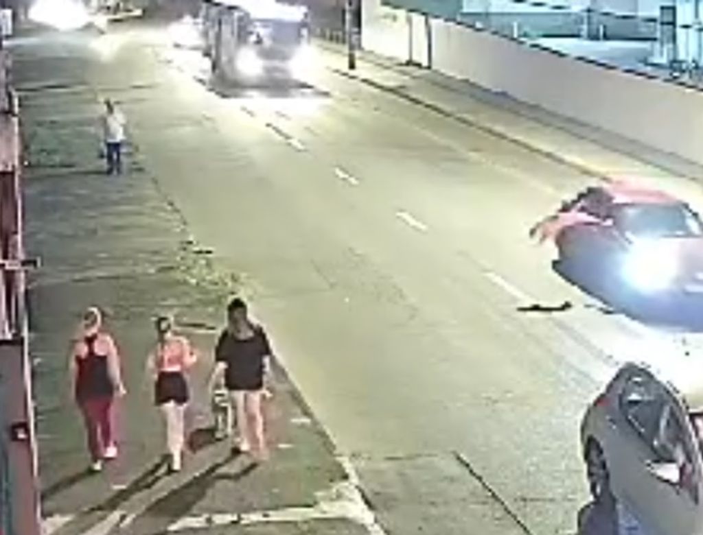 Pitbull Rua Iririu Fuga