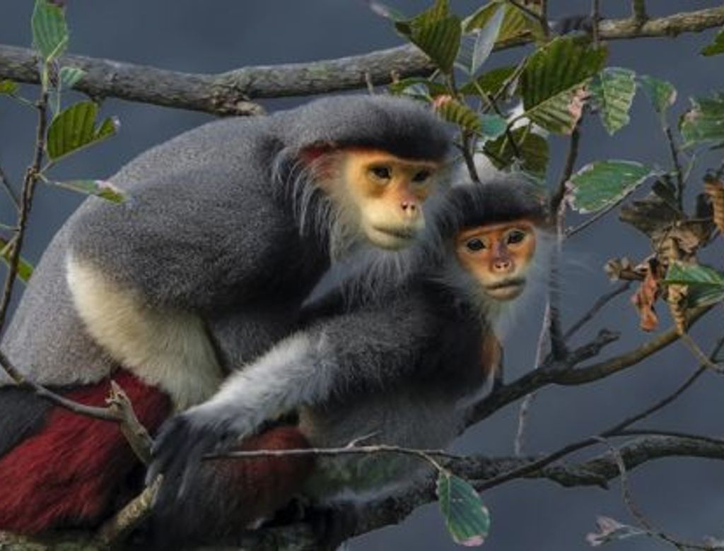 Wpy 24 Peoples Choice Ivan Ivanek Abre Conexao Planeta Qxsc6sc8t2nmityc0376x0hvytg3g6k1lywrtgmgr2(1)