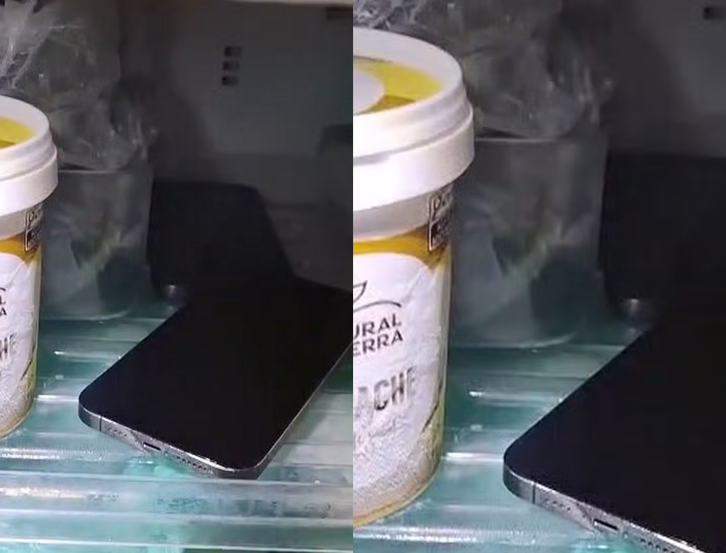 Celular No Congelador (foto Reprodução Redes Sociais) 1