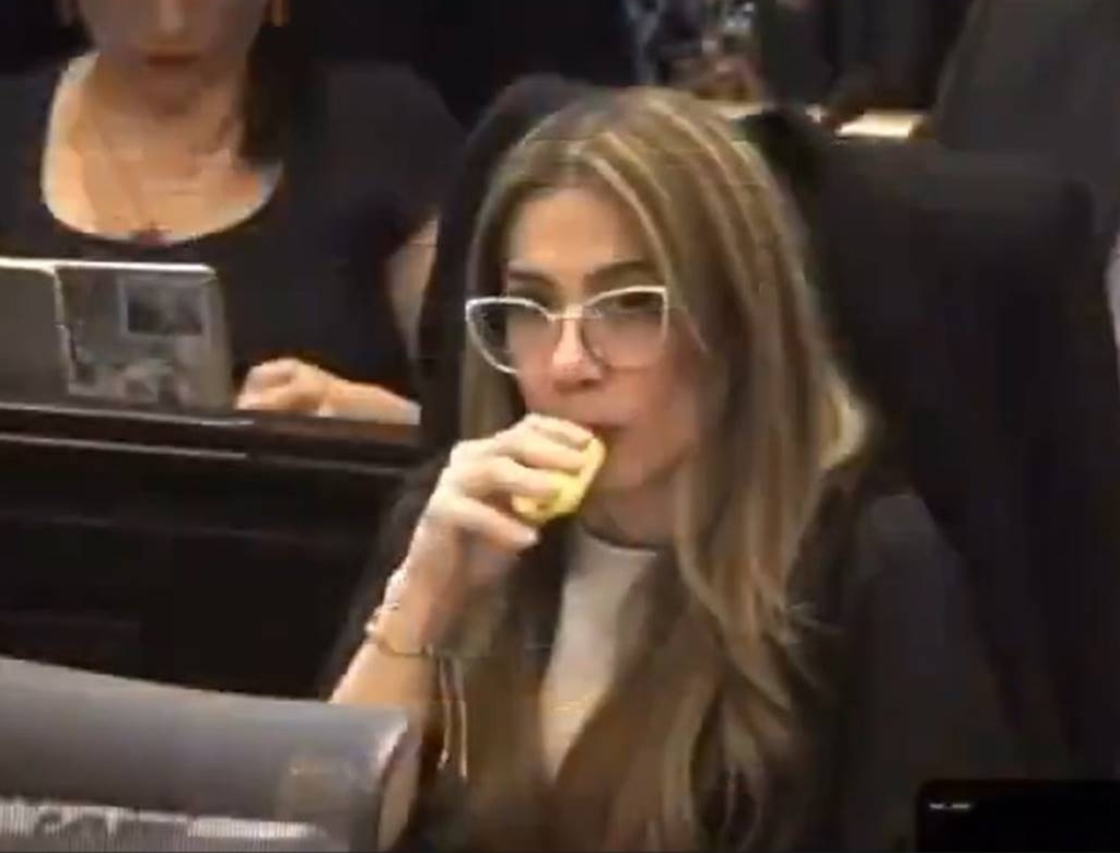 Deputada (foto Reprodução Redes Sociais)